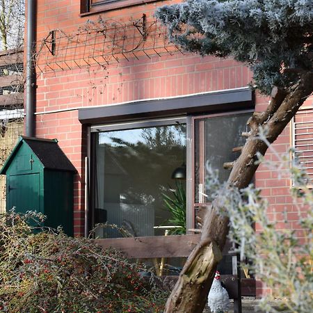 Elbwald-Studio Hitzacker Exterior foto